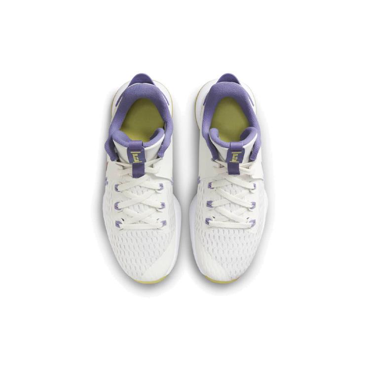 Nike LeBron Witness 5 'Summit White Metallic Bronze' CQ9380-102
