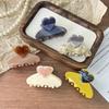 Korean Style Heart Claw Clip: Elegant Acetate Updo and Bang Clip Hair Accessory