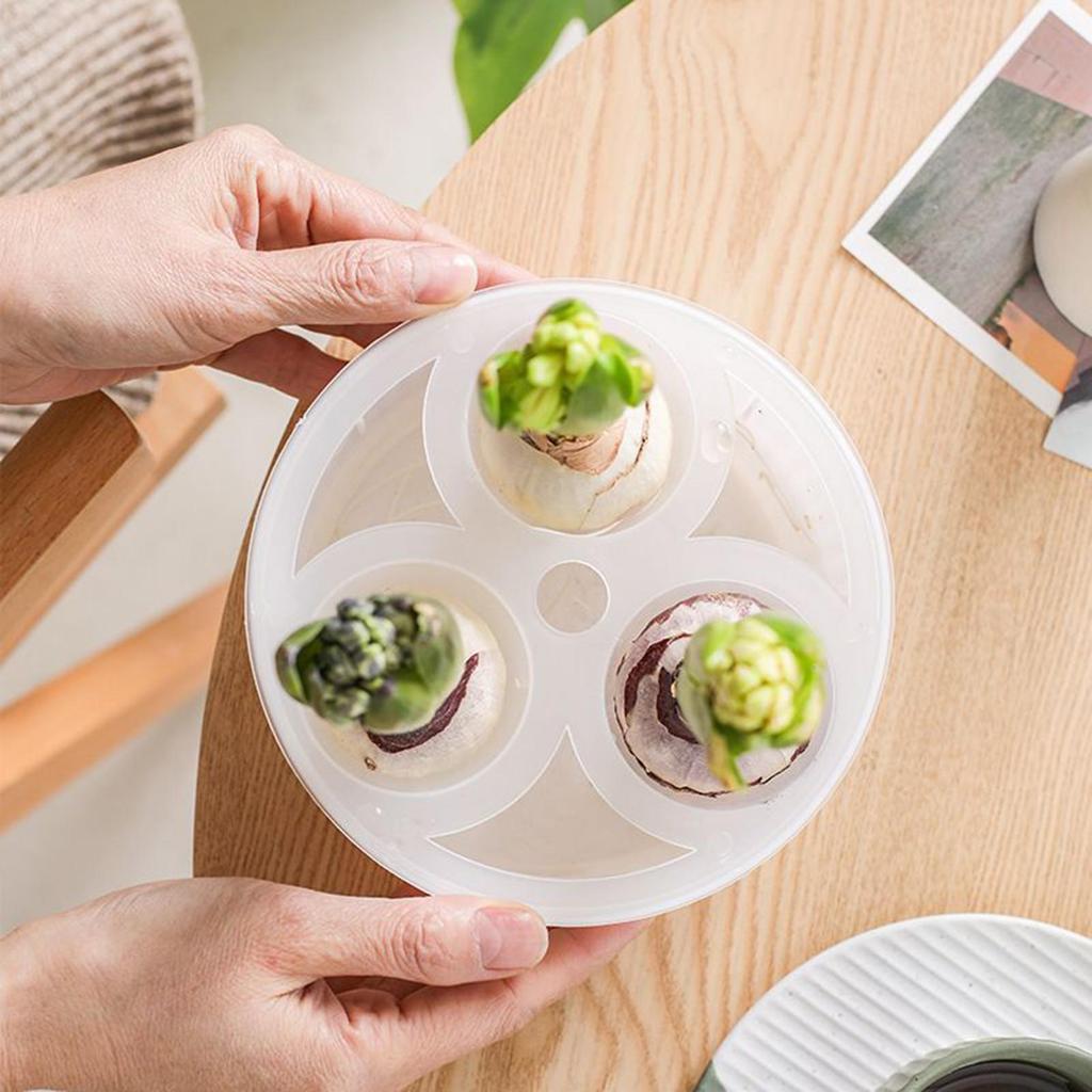 Гиацинт Тюльпаны Семена Гидропонный Цветочный горшок 3 Отверстия Горшки для Растений Беспочвенный Растительный Горшок Ленивый Гидропонный Цветочный Горшок Домашнее Украшение