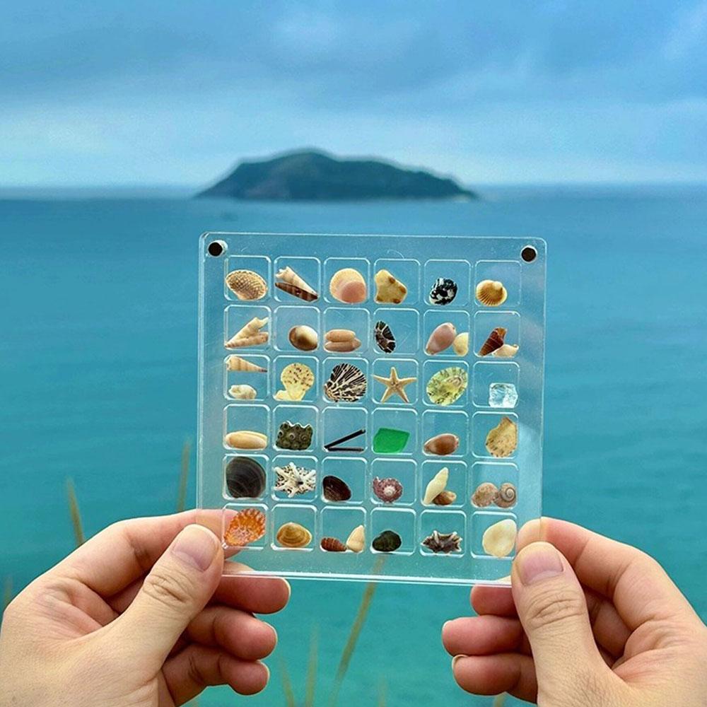 36 ячеек, коробка для демонстрации ракушек, акриловая магнитная коробка для демонстрации ракушек, органайзер, складная коробка для небольших поделок