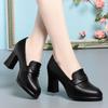 High Heels Women, Spring and Autumn New Black Work Shoes Are Not Tired, Thick Heels Leather Shoes Commute, Sub Single Shoes