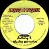 7inch Record ANTHONY B - Marley Memories NONE Star Trail Jamaica Reggae, Ska & Dub Used