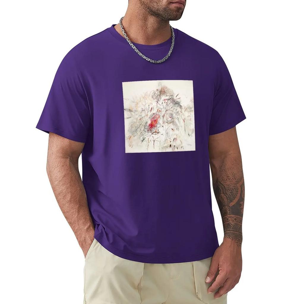 Cy Twombly - Leda and the Swan T-Shirt vintage t shirt boys animal print shirt custom t shirts t shirt
