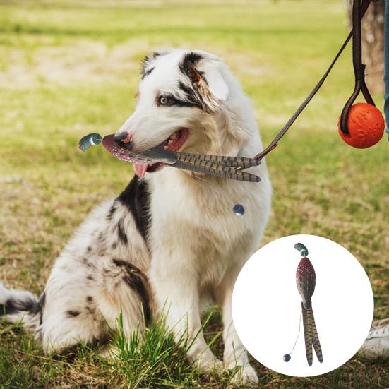 Игрушка для домашних животных, реалистичная форма фазана, голубя, утки, игрушка для дрессировки собак, устойчивая к укусам, игрушка для охотничьих собак, товары для домашних животных