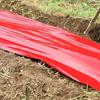 Yousheng 4 фута x 25 футов Красная пластиковая мульча для садоводства, мульчирующая пленка, красная пленка для выращивания растений, мульчирующая пленка для овощных полей, клубники, помидоров, перцев