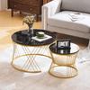 Flieks Coffee Table Set of 2, Coffee Table with Storage, Gold and Black