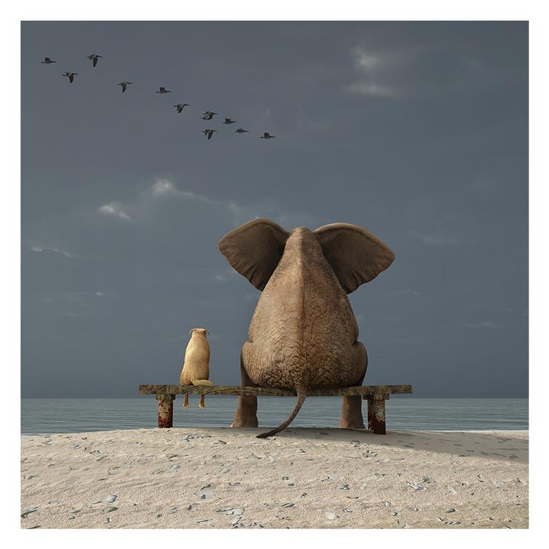 Творческий Слон Животный Портрет Картина Маслом Холст Картины Украшения Дома Украшения Стены Плакат Художественная Роспись Куадрос Фон Украшения Стены