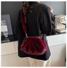 New High-End Plush Pleated Cloud Bag - Women's Trendy Crossbody for Autumn/Winter