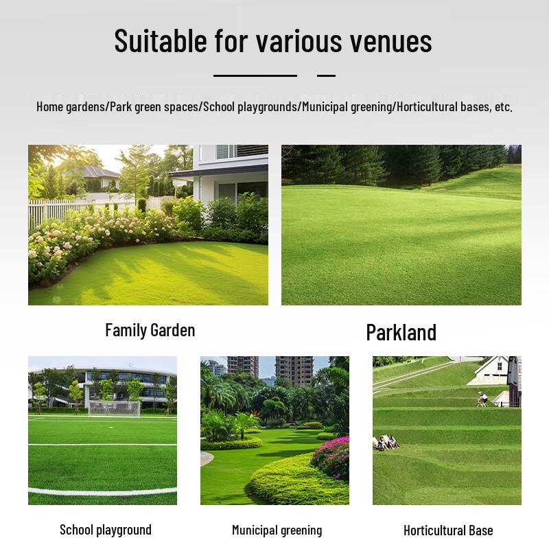 Maruzaki 21-inch Honda Powered Push Lawn Mower CN plug (adapter included)