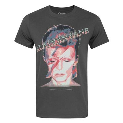 Официальная мужская футболка Aladdin Sane