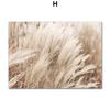 Beige Flower Grass Scenery Wall Art Pictures Canvas Painting Bohemia Beach Landscape Posters Prints Nordic Modern Home Decor