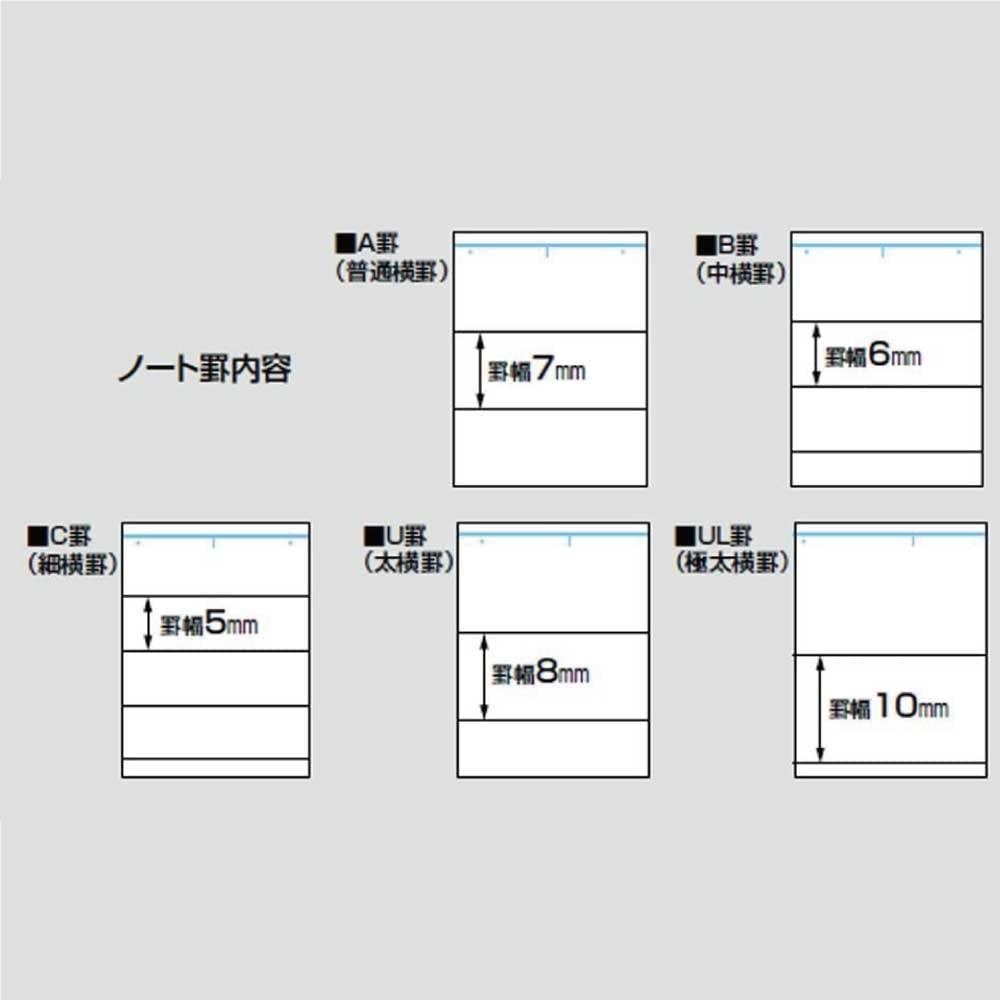 KOKUYO Бланк кампуса А4, в линейку А, 30 листов, № 203А