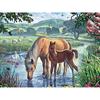Diamond Painting Full Diamond Mosaic Full Round Diamond Embroidery Horse Cross Stitch