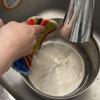 Польская многоцелевая губка