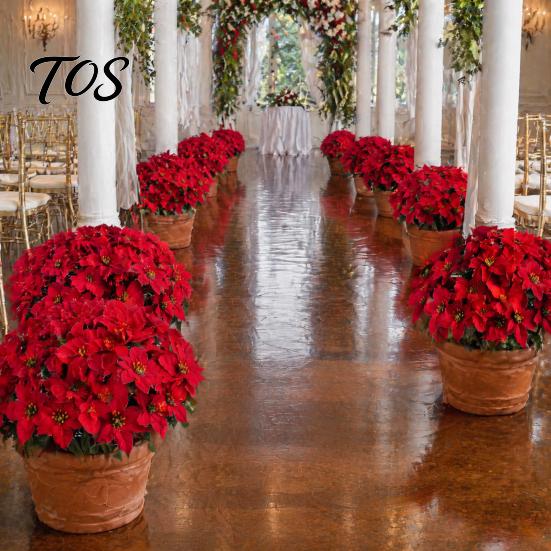 Lifelike Christmas Blooms Artificial Poinsettia Flower Ornaments, Realistic Decorations, Fake Decorative Holiday Flowers with Stake for Party Supplies