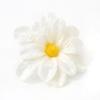 10Pcs 6cm Peony Silk Artificial Flowers Heads Craft Bridal Wreath Gift Accessories for Home Room Decoration DIY Wedding Decor