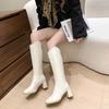 Autumn Winter Thick High Heels Women Knee High Boots Fashion Stretch Slim Modern Long Botas Para Mujer
