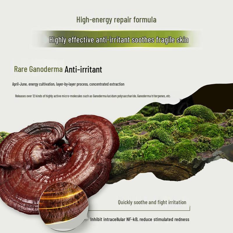 Origins Skincare Discovery Sets