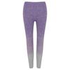 Womens/Ladies Fade Seamless Leggings