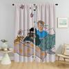 Шторы для спальни Heartstopper Partition Window Curtain for Room 2 Panel Home Interior Curtains Halloween Decoration Shades