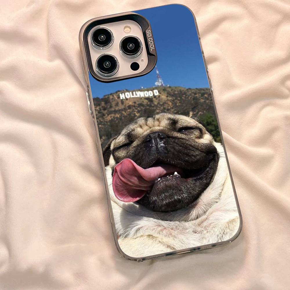Смешной мем с собакой Чехол для телефона для iPhone 17 16 15 14 13 12 11 Pro Max Plus Милые животные Мягкий противоударный чехол для iPhone 15Pro