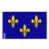 Drapeau - Île-de-France - 128 X 192 Cm - Polyester - Impression Recto/verso - Œillets En Fer