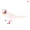 Simulation Parakeet Miniature Landscape Ornament Artificial Bird Model Props