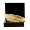 Gypsum - A BIJOUX - Grignan - 92.4 Ct - Multicolor - Certificate of Authenticity