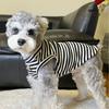 Pet clothes puppy dog summer vest thin homewear ins striped Yorkshire teddy cuter than bear