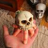 Halloween Skeleton Ornament Realistic Resin Hands Skull Decoration Spooky Haunted House Decor for Zombie Party Prank Props