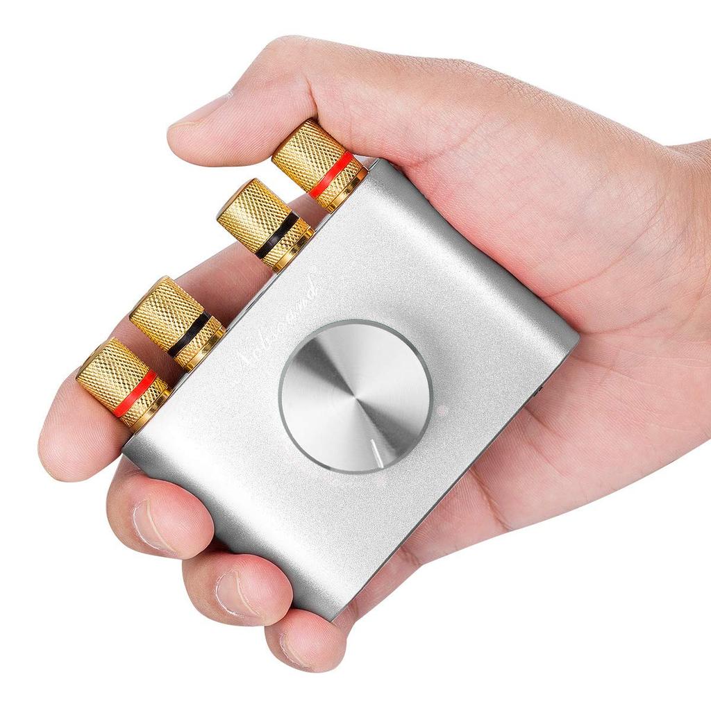 Nobsound Pro Усилитель мощности Bluetooth 100 Вт Усилитель Динамик HiFi Аудио с Блоком Питания NS-01G 5.0 (Серебряный)