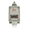 TNDACN Explosion-Proof Roller Limit Switch