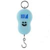 Portable Scale 50kg Compact Accurate Measurement Round Handle Hanging Small Electronic Scale
