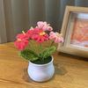 1PC Handmade Weaving Mini Potted Flowers DIY Home Office Desktop Decoration Potted Plants Wool Home Decoration