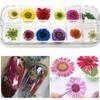 24 шт. 3D наклейки с сухими цветами, настоящие сушеные цветы, украшения для ногтей, советы, маникюрные инструменты «сделай сам», с коробкой