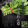 Domestic Dried Vegetables, Air-Dried, Preservative Food: 100% Domestic Cabbage, Carrots, Spinach, Pumpkin, Enoki Mushrooms, Chinese Cabbage, Onions, a