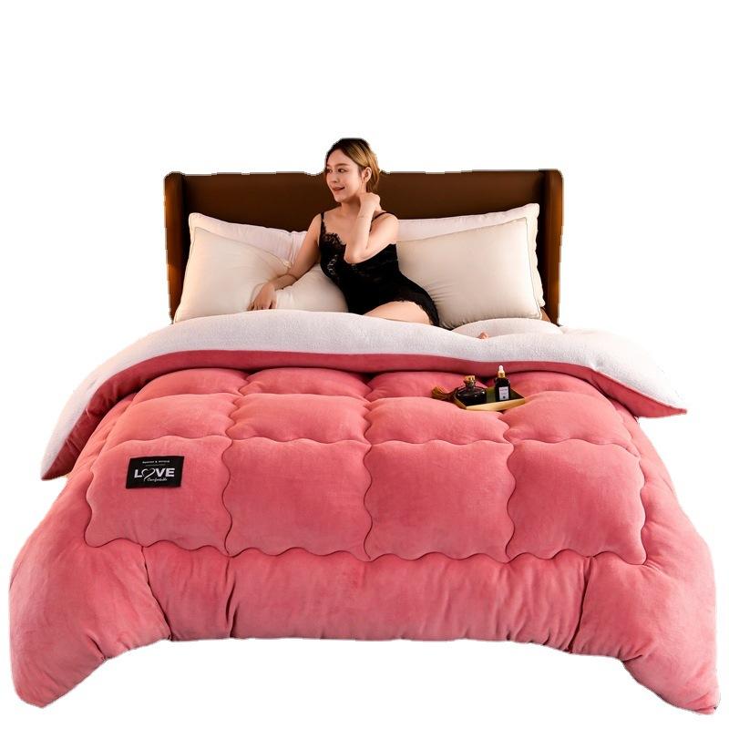 New Super Warm Lamb Wool Quilt Winter Thickened Cotton Quilt Warm Cotton Double Sided Velvet Soft Extra Large Blanket