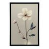White Anemone - Minimalist Beauty White Anemone - Minimalist Beauty, 30X40 Cm, Dark Brown Wooden Frame, 230 Gsm Matte Paper