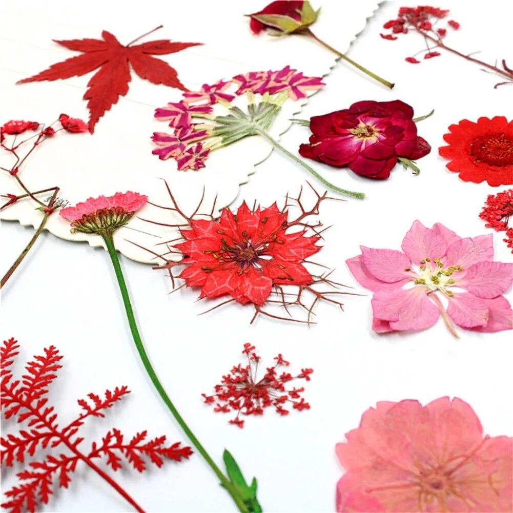 15pcs Dried Flower Natural Flower Stickers Dry Beauty Decal For DIY Plants Art Craft Floral Decors Making Accessories