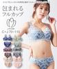 Inner Knitted Lace Full Cup Bra and Shorts Set Beige [Nissen] Set, (Elegant Lace) (Triumph) D80/L