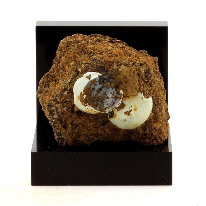 Lussatite (Opale-CT) 82.7 carats