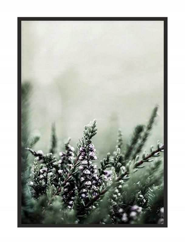 Obraz plakat w ramie 53x73 cm łąka p1773