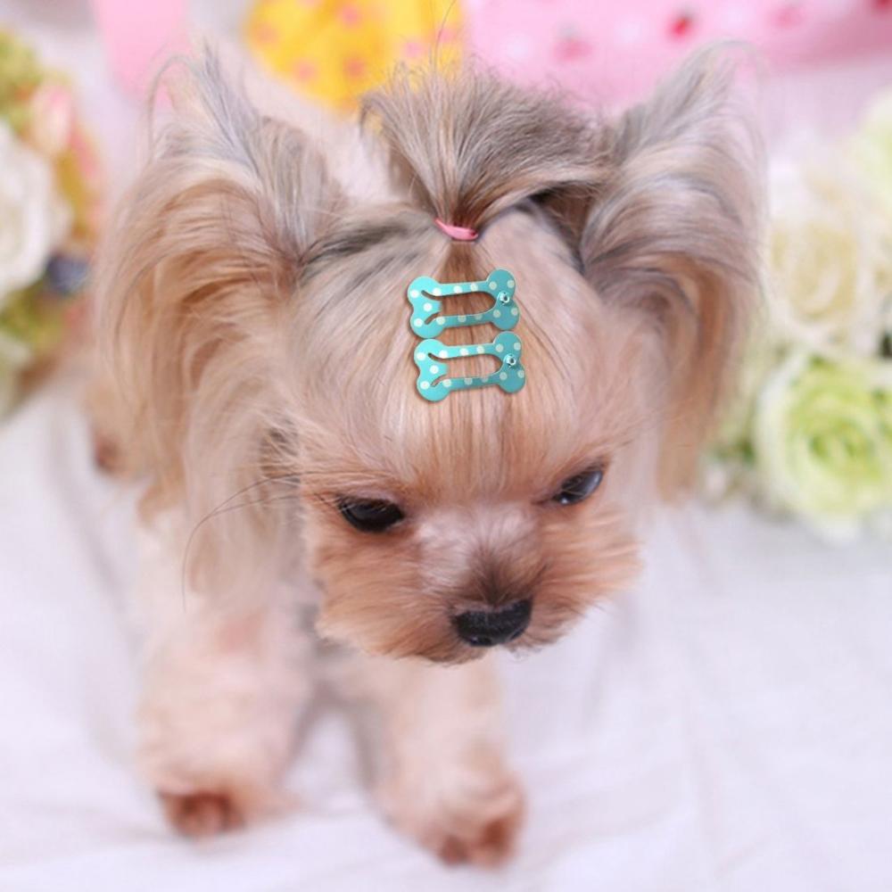 Гладкая поверхность для маленьких собак, заколка для волос для домашних животных, заколка для волос для собак, принадлежности для собак, аксессуары для ухода за щенками