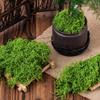 Искусственный зеленый мох для горшечных растений, поделок, 150 г, искусственный мох для украшения стола, свадебных рождественских украшений