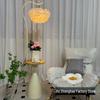 French Chic Feather Floor Lamp with Shelf