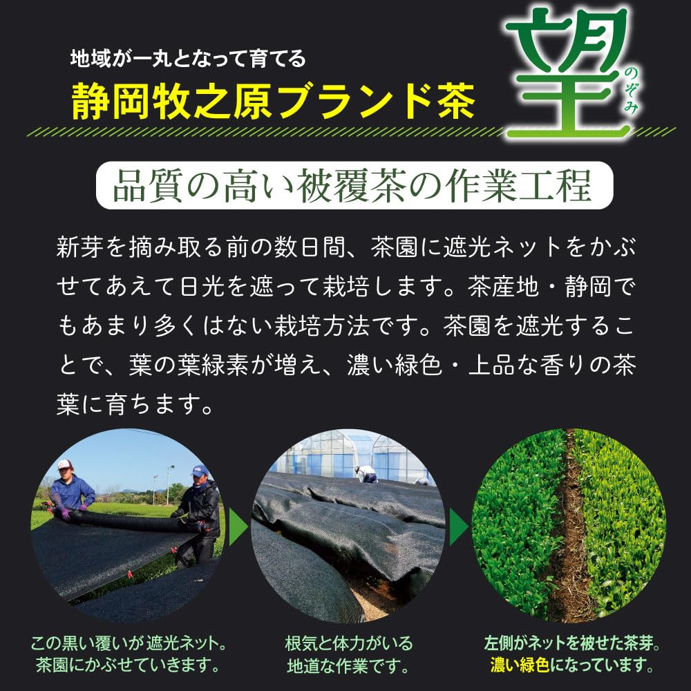 Чай глубокой пропарки Сидзуока Поэзия Земли Чай марки Сидзуока Макинохара Чай с серебряной печатью Чай глубокой пропарки Японский чай Чай с покрытием