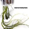 2pcs Fish Tank Planting Cup Hydroponic Support Basket Water Grass Aquatic Plant Holder Flower Pot Hanging Aquarium Accessories