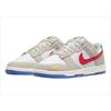 Dunk Low Light Iron Ore 2022 Shoe DV3497-001