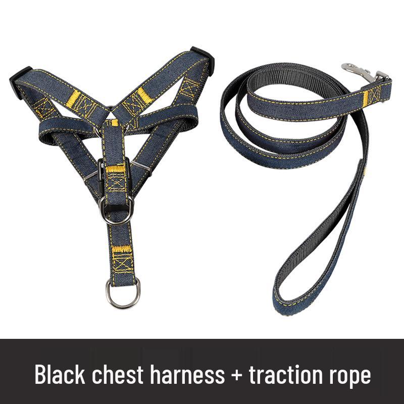 Multi-Size Dog Leash & Collar Set for Walking - Suitable for Small To Large Breeds