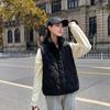 Women Autumn Winter Stand Collar Solid Color Sleeveless Button Parka Vest